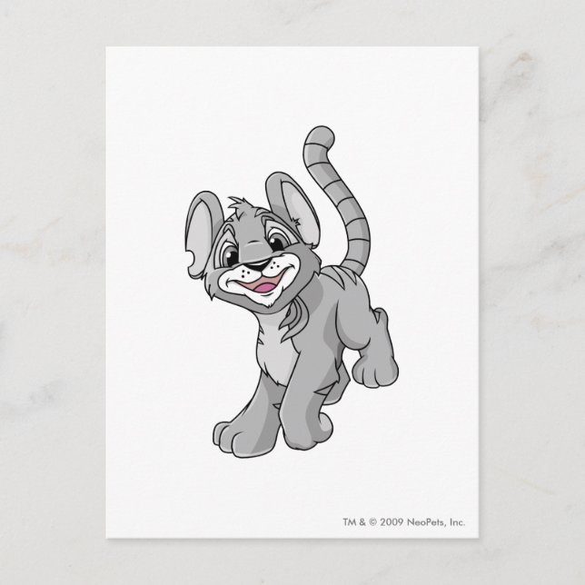Carte Postale Kougra Silver (Devant)