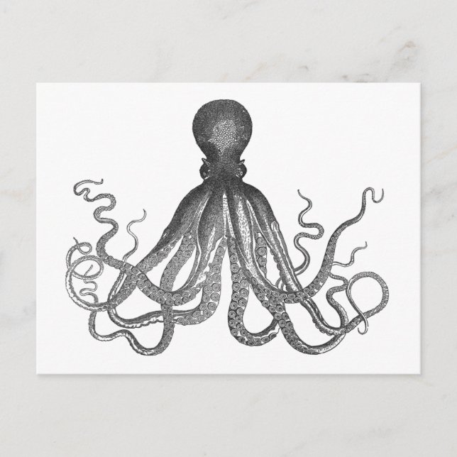Carte Postale Kraken - Octopus géant noir / Cthulu (Devant)
