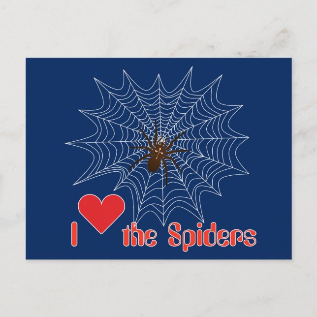 Carte Postale Kreuzspinne im Netz (Devant)