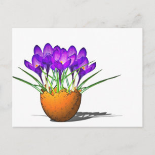Carte Postale Krokusse
