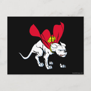 Carte Postale Krypto Growls