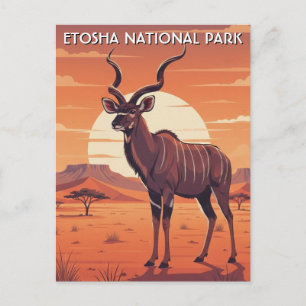 Carte Postale Kudu dans le parc national d'Etosha Namibie Voyage