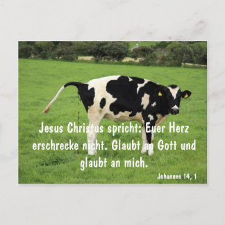 Carte Postale Kuh