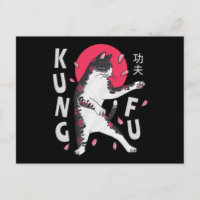 Kung Fu Cat
