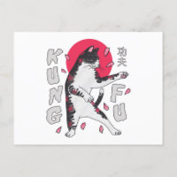 Kung Fu Cat