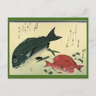 Carte Postale Kurodai & Akadai - Estampe japonaise de poissons p
