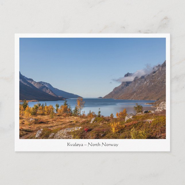 Carte Postale Kvaloya Island Norvège (Devant)