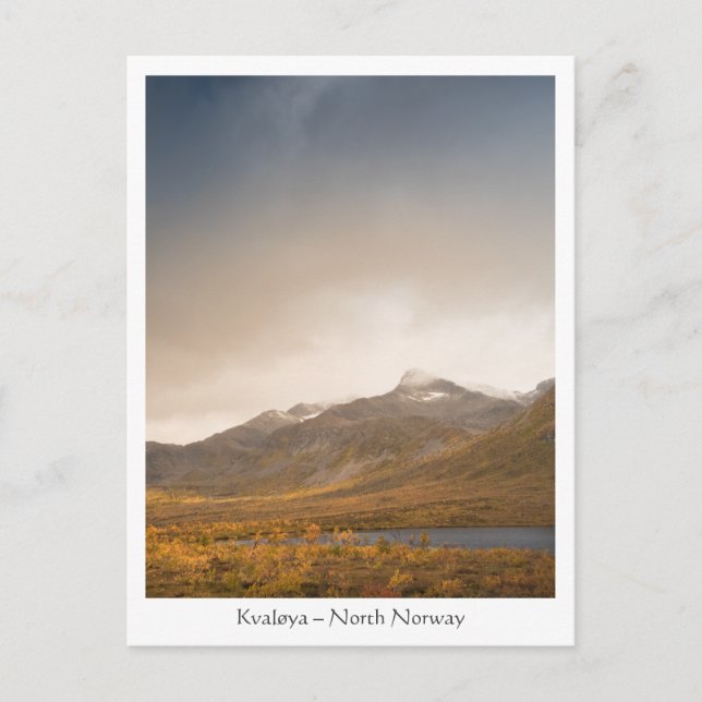 Carte Postale Kvaløya Norvège du Nord (Devant)