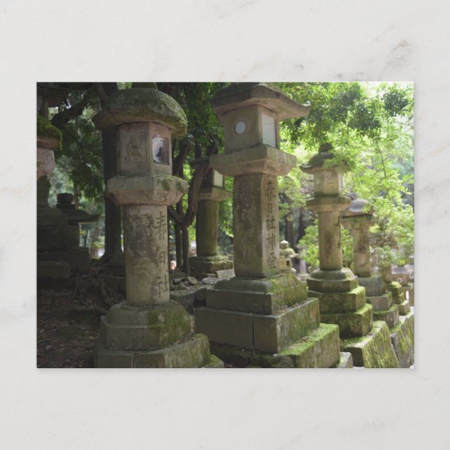 Carte Postale Kyoto Japon (Devant)