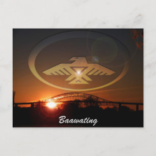 Carte Postale La baignade en soirée