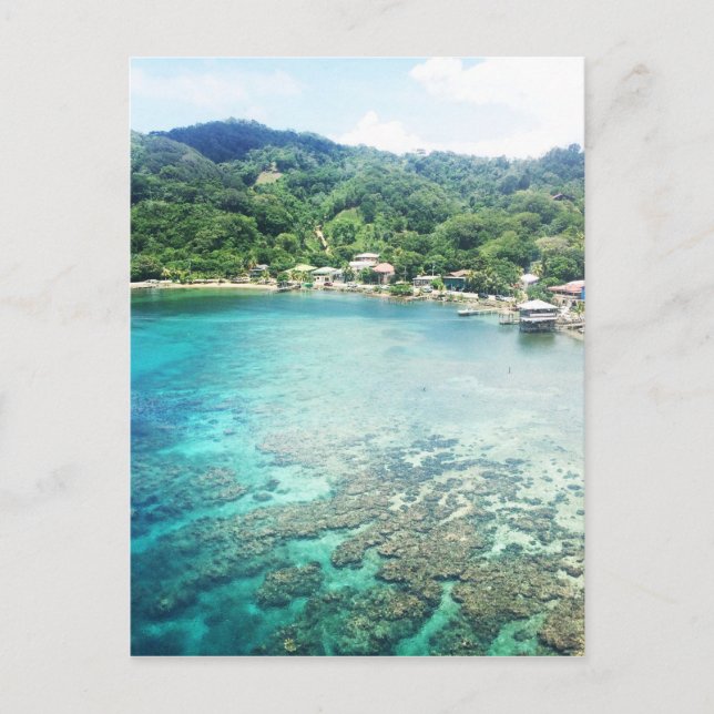 Carte Postale La barrière de corail de Grand Cayman (Devant)