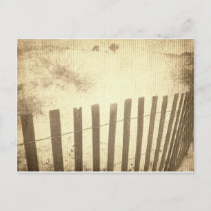 Carte Postale La barrière de plage