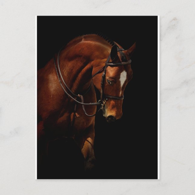 Carte Postale La beauté (Devant)