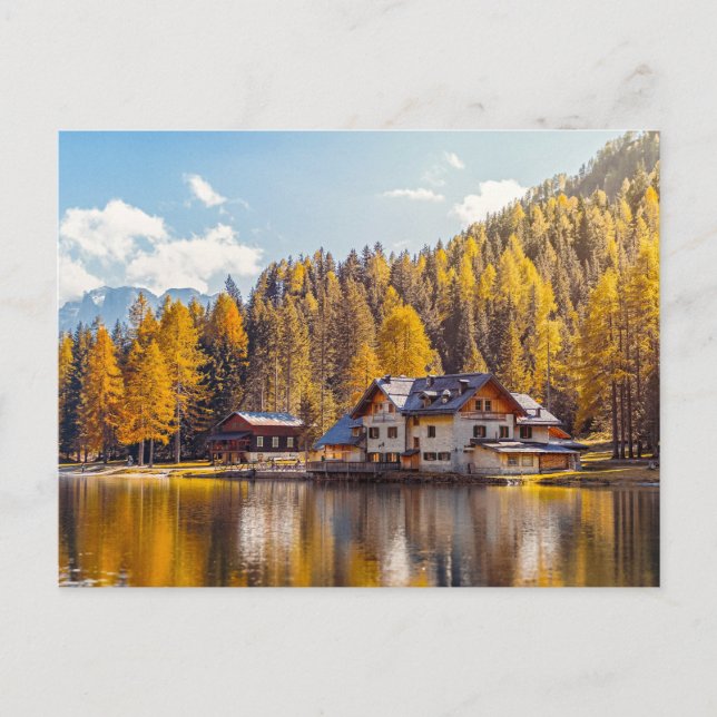 CARTE POSTALE LA BEAUTÉ DE LA NATURE DANS LE LAC (Devant)