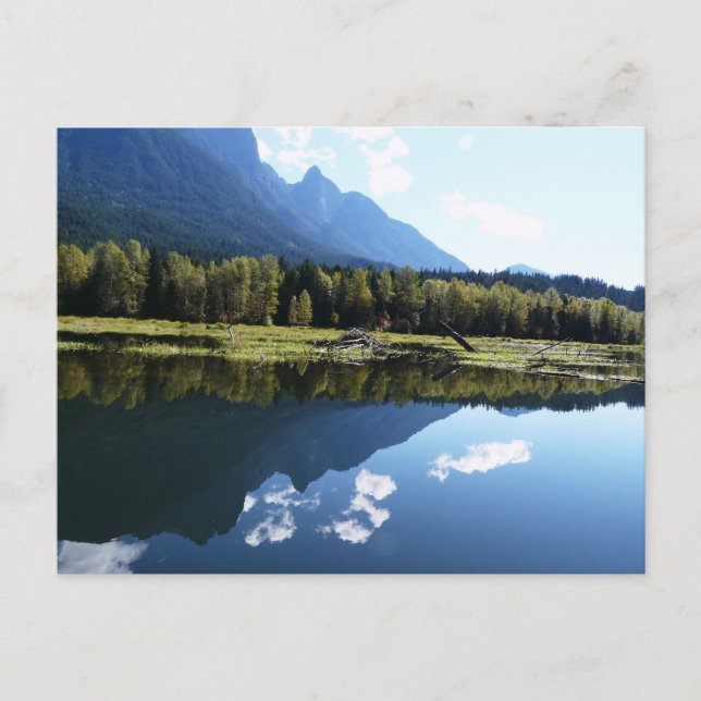 Carte Postale La beauté de la nature reflétée (Devant)