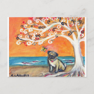 Carte Postale la beauté de l'orange