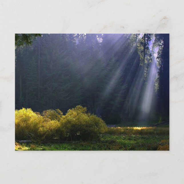 Carte Postale La beauté de Mère Nature (Devant)