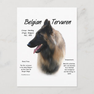 Carte Postale La Belge Tervuren rencontre la race