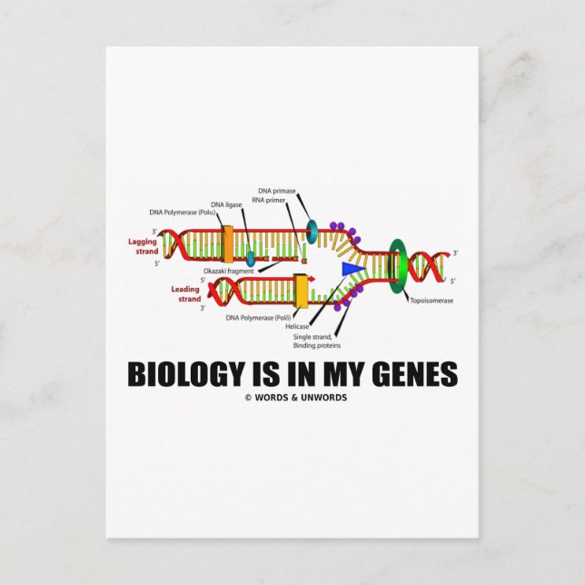 Carte Postale La biologie est dans mes gènes (réplication de l'A (Devant)