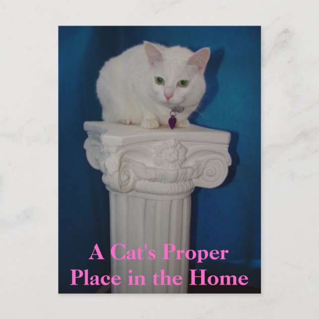 Carte Postale La bonne place du chat dans la maison (Devant)