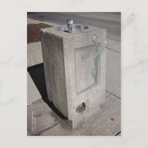 Carte Postale la boue émerge de l'hibernation