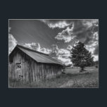 Carte Postale La cabane<br><div class="desc">La Shack photo Tyra O'Bryant</div>