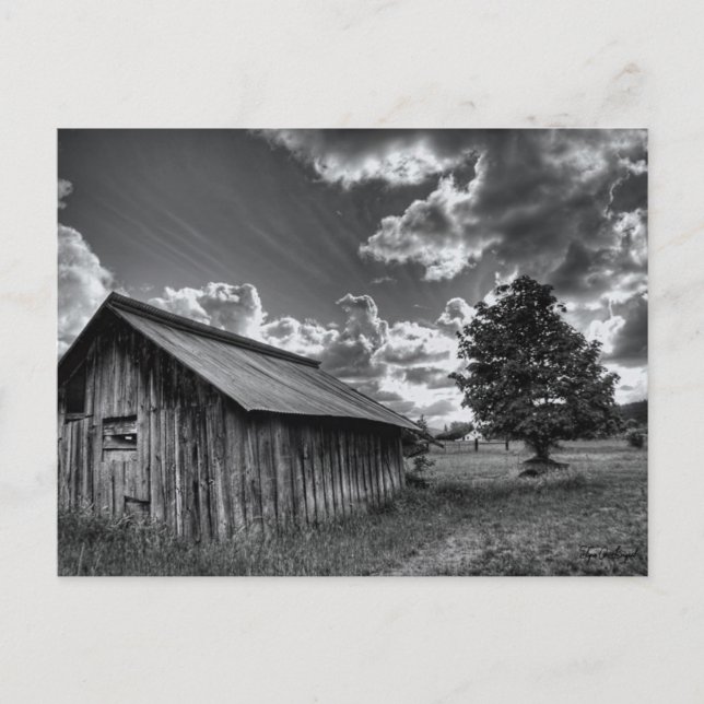 Carte Postale La cabane (Devant)