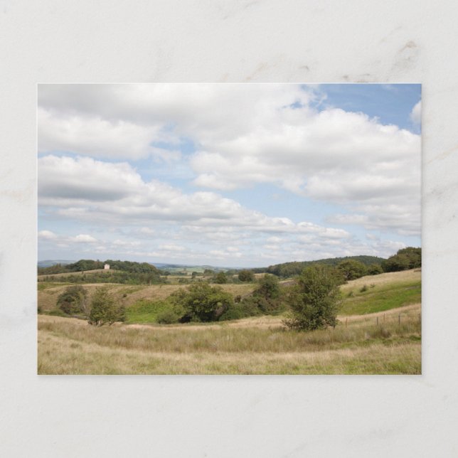 Carte Postale La cage au parc Lyme (Devant)