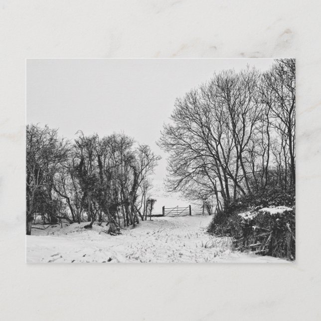 Carte Postale La campagne dans la neige (Devant)