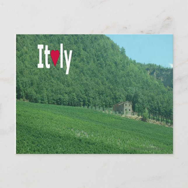 Carte Postale La campagne italienne d'été (Devant)