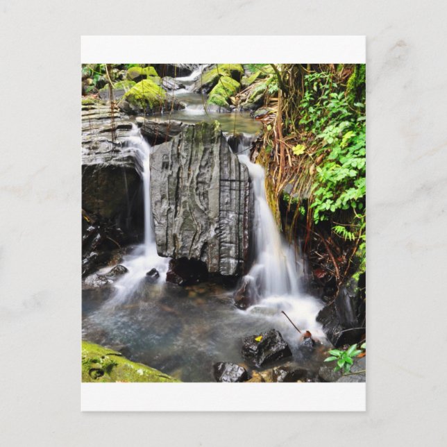 Carte Postale La cascade d'El Yunque (Devant)