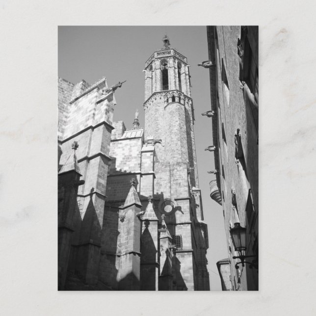 Carte postale La Catedral Gargoyles (Barcelone, Es (Devant)