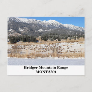 Carte Postale La chaîne de montagnes Bridger dans le Montana