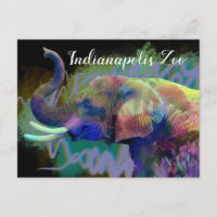 La chance de l'éléphant coloré du nez