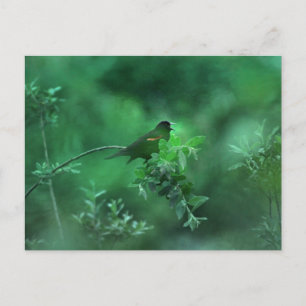 Carte Postale La Chanson