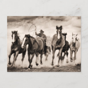 Carte Postale La Chase I