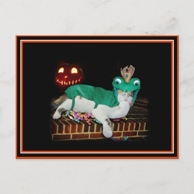 Carte Postale La chatte d'Halloween se procure les marchandises  (Devant)