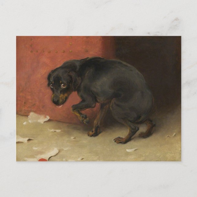 Carte Postale La Conscience Fait Des Poules De Nous Tous (Devant)