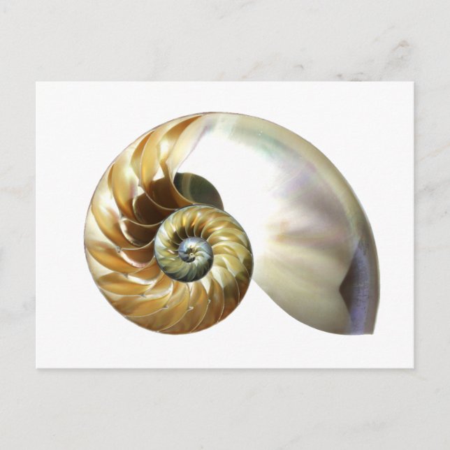 Carte Postale La coque du Nautilus (Devant)