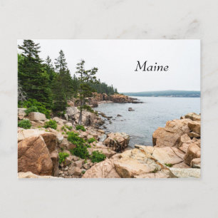 Carte Postale La côte accidentée du Maine dans le Parc national 