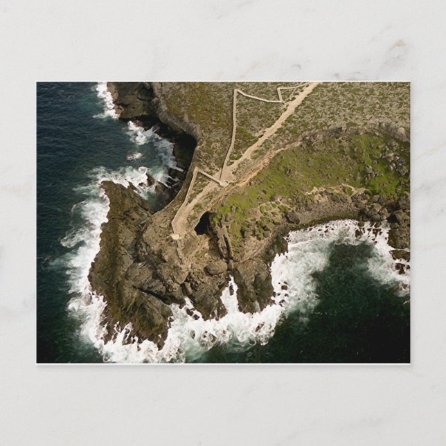 Carte Postale La côte australienne : Arc de l'amiral, Kangaroo I (Devant)