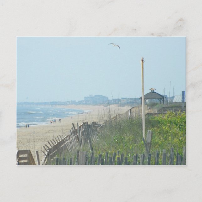 Carte Postale La côte de Canard North Carolina (Devant)