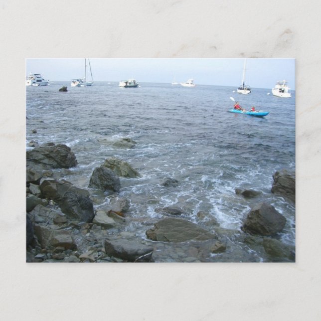 Carte Postale La côte de l'île Catalina (Devant)