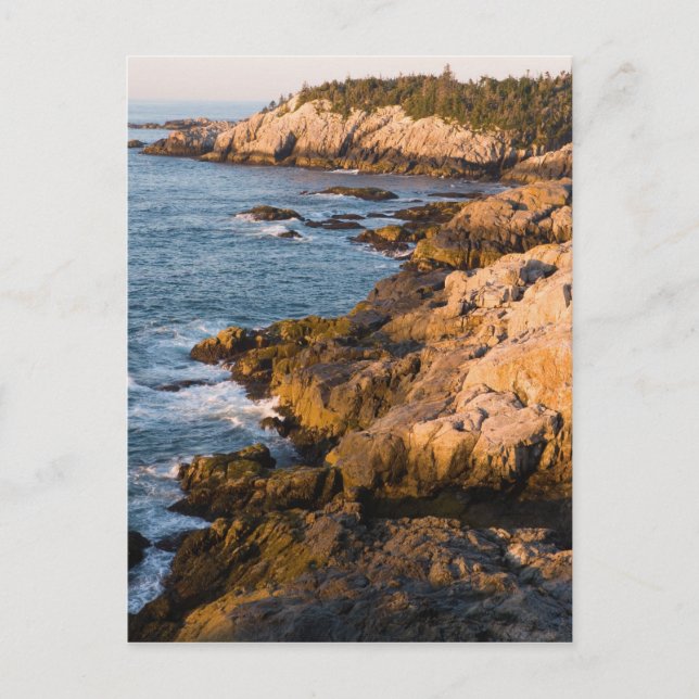Carte Postale La côte rocheuse d'Isle au Haut dans le (Devant)