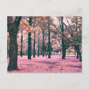 Carte Postale La couleur a affecté les arbres dans le parc Yoyog