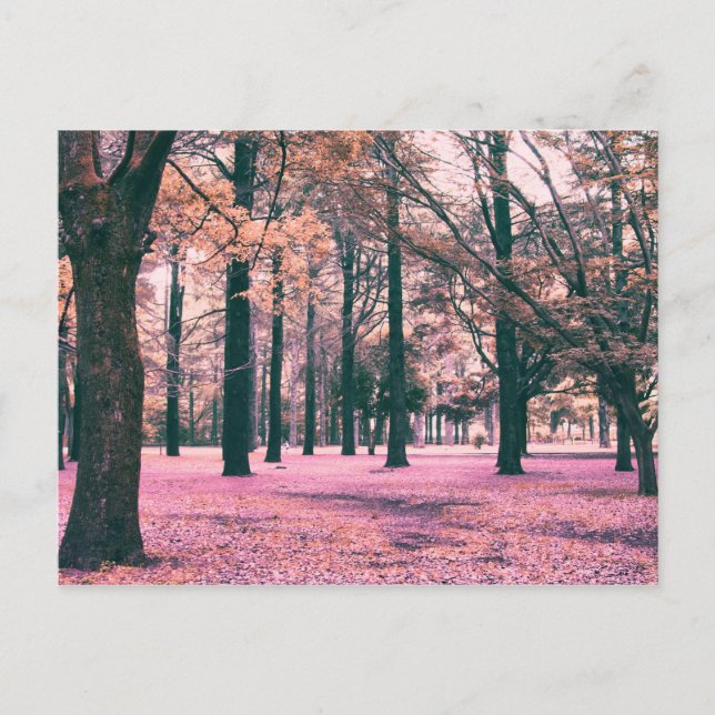 Carte Postale La couleur a affecté les arbres dans le parc Yoyog (Devant)