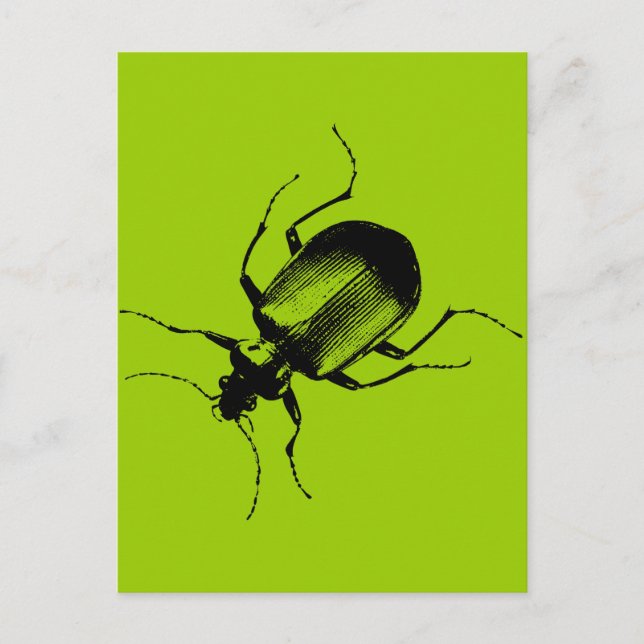Carte Postale La Cucaracha (Devant)