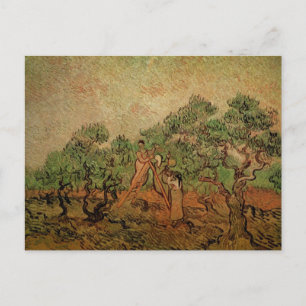 Carte Postale La Cueillette des olives par Vincent van Gogh