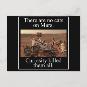 Carte Postale La curiosité Rover de la NASA et aucuns chats sur