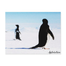 La danseuse et amie Adélie Penguin